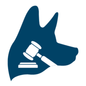 Pe Personal Injury Lawyer | TopDog Get You Top Dollar | TopDog Law Personal Injury Lawyers