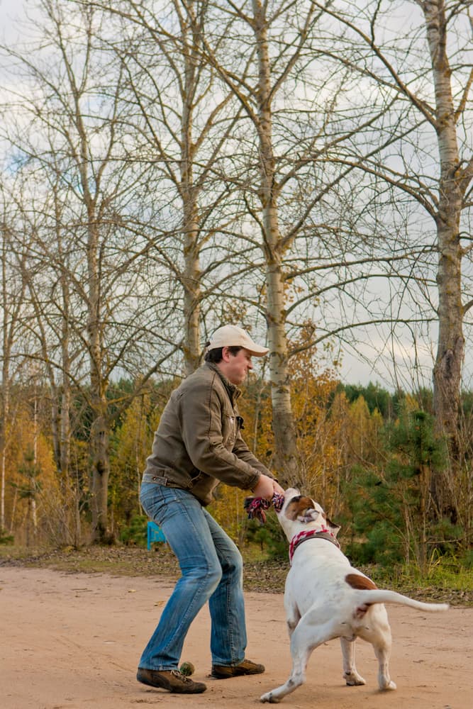 A strong young man trains his bulldog with a rope, testing strength and obedience during an intense outdoor session. Power and focus on full display.