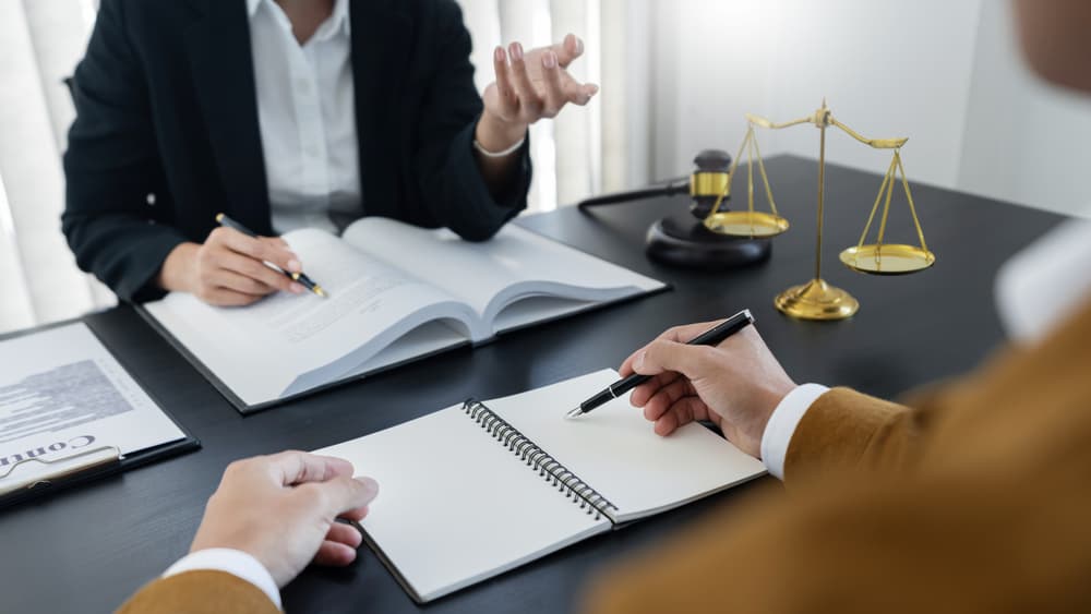 Two lawyers are discussing legal provisions and the determination of law-related matters.